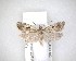  ( - NZAC04201662)  @11 [ ] No Rights Reserved (2020) Unspecified Landcare Research, New Zealand Arthropod Collection