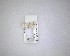  ( - NZAC04231448)  @11 [ ] No Rights Reserved (2020) Unspecified Landcare Research, New Zealand Arthropod Collection