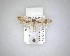  (Erechthias capnitis - NZAC04231467)  @11 [ ] No Rights Reserved (2020) Unspecified Landcare Research, New Zealand Arthropod Collection