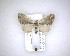  ( - NZAC04231629)  @11 [ ] No Rights Reserved (2020) Unspecified Landcare Research, New Zealand Arthropod Collection