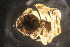 ( - NZMAN169)  @12 [ ] Copyright (2013) University  of Waikato University of Waikato