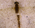  ( - NZMAY056)  @11 [ ] Copyright (2013) Ian Hogg University of Waikato