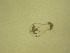  ( - NZPL300)  @11 [ ] Copyright (2010) Unspecified Department of Biological Sciences, University of Waikato