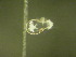  ( - NZPL301)  @11 [ ] Copyright (2010) Unspecified Department of Biological Sciences, University of Waikato