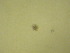  ( - NZPL350)  @11 [ ] Copyright (2010) Unspecified Department of Biological Sciences, University of Waikato
