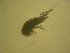  ( - NZPL541)  @12 [ ] Unspecified (default): All Rights Reserved  Unspecified Unspecified