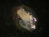  ( - NZPL517)  @12 [ ] Unspecified (default): All Rights Reserved  Unspecified Unspecified