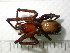  ( - NZSPI049)  @11 [ ] Unspecified (default): All Rights Reserved  Unspecified Unspecified