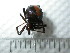  ( - NZSPI054)  @11 [ ] Unspecified (default): All Rights Reserved  Unspecified Unspecified