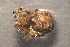  ( - NZSPI088)  @12 [ ] Unspecified (default): All Rights Reserved  Unspecified Unspecified