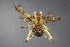  ( - NZSPI741)  @13 [ ] Copyright (2015) University  of Waikato University of Waikato