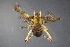  ( - NZSPI741)  @13 [ ] Copyright (2015) University  of Waikato University of Waikato