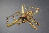 ( - NZSPI741)  @13 [ ] Copyright (2015) University  of Waikato University of Waikato