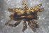  ( - NZSPI817)  @11 [ ] Copyright (2016) University  of Waikato University of Waikato