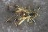  ( - NZSPI824)  @12 [ ] Copyright (2016) University  of Waikato University of Waikato