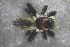  ( - NZSPI835)  @11 [ ] Copyright (2016) University  of Waikato University of Waikato