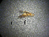  ( - NZCAD405)  @12 [ ] Copyright (2012) University of Waikato University of Waikato
