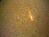  ( - NZCAD453)  @11 [ ] Copyright (2013) University of Waikato University of Waikato