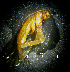  ( - NZCAD496)  @11 [ ] Copyright (2011) University of Waikato University of Waikato