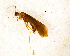  ( - NZCAD696)  @12 [ ] Copyright (2013) Ian Hogg University of Waikato