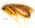  ( - NZCAD701)  @12 [ ] Copyright (2013) Ian Hogg University of Waikato