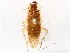  ( - BIOUG71264-A09)  @11 [ ] CreativeCommons - Attribution (2021) CBG Photography Group Centre for Biodiversity Genomics