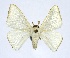  ( - BMNH 818994)  @11 [ ] Unspecified (default): All Rights Reserved  Unspecified Unspecified