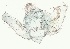  ( - BMNH 818995)  @11 [ ] Unspecified (default): All Rights Reserved  Unspecified Unspecified