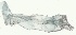  ( - BMNH 818995)  @11 [ ] Unspecified (default): All Rights Reserved  Unspecified Unspecified