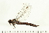  ( - 08PROBE-1908)  @12 [ ] CreativeCommons - Attribution (2008) Unspecified Centre for Biodiversity Genomics