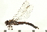  ( - 08PROBE-1911)  @12 [ ] CreativeCommons - Attribution (2008) Unspecified Centre for Biodiversity Genomics