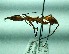  ( - Odon_Phil_02)  @11 [ ] CreativeCommons - Attribution Share-Alike (2019) Philipp Hoenle Technische Universitat Darmstadt
