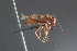  ( - PHOdo006)  @11 [ ] CreativeCommons - Attribution Share-Alike (2019) Christoph von Beeren Technische Universitat Darmstadt