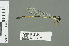  ( - RMNH.5007722)  @13 [ ] CreativeCommons - Attribution Non-Commercial Share-Alike (2013) Unspecified Naturalis Biodiversity Center