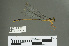  ( - RMNH.5011583)  @11 [ ] CreativeCommons - Attribution Non-Commercial Share-Alike (2016) Unspecified Naturalis, Biodiversity Centre
