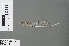  ( - RMNH.INS.228198)  @13 [ ] CreativeCommons - Attribution Non-Commercial Share-Alike (2013) Unspecified Naturalis Biodiversity Center
