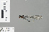  ( - RMNH.INS.229077)  @12 [ ] CreativeCommons - Attribution Non-Commercial Share-Alike (2013) Unspecified Naturalis Biodiversity Center