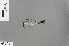  (Ceylonosticta bine - RMNH.INS.229769)  @12 [ ] CreativeCommons - Attribution Non-Commercial Share-Alike (2013) Unspecified Naturalis Biodiversity Center