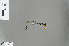  (Ceylonosticta submontana - RMNH.INS.229773)  @12 [ ] CreativeCommons - Attribution Non-Commercial Share-Alike (2013) Unspecified Naturalis Biodiversity Center