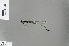  (Ceylonosticta anamia - RMNH.INS.229774)  @12 [ ] CreativeCommons - Attribution Non-Commercial Share-Alike (2013) Unspecified Naturalis Biodiversity Center