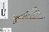  (Metagrion subornatum - RMNH.INS.500605)  @14 [ ] CreativeCommons - Attribution Non-Commercial Share-Alike (2013) Unspecified Naturalis Biodiversity Center