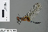  ( - RMNH.INS.501194)  @13 [ ] CreativeCommons - Attribution Non-Commercial Share-Alike (2013) Unspecified Naturalis Biodiversity Center