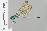  ( - RMNH.INS.501481)  @15 [ ] CreativeCommons - Attribution Non-Commercial Share-Alike (2013) Unspecified Naturalis Biodiversity Center