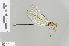  ( - RMNH.INS.501545)  @14 [ ] CreativeCommons - Attribution Non-Commercial Share-Alike (2013) Unspecified Naturalis Biodiversity Center