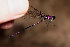  (Mnesarete cupraea - RMNH.INS.501748)  @12 [ ] CreativeCommons - Attribution Non-Commercial Share-Alike (2013) Unspecified Naturalis Biodiversity Center