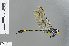  ( - RMNH.INS.502192)  @11 [ ] CreativeCommons - Attribution Non-Commercial Share-Alike (2013) Unspecified Naturalis Biodiversity Center