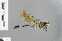  ( - RMNH.INS.502223)  @11 [ ] CreativeCommons - Attribution Non-Commercial Share-Alike (2013) Unspecified Naturalis Biodiversity Center