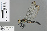  ( - RMNH.INS.502250)  @14 [ ] CreativeCommons - Attribution Non-Commercial Share-Alike (2013) Unspecified Naturalis Biodiversity Center
