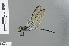  ( - RMNH.INS.502269)  @13 [ ] CreativeCommons - Attribution Non-Commercial Share-Alike (2013) Unspecified Naturalis Biodiversity Center