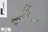  ( - RMNH.INS.502357)  @14 [ ] CreativeCommons - Attribution Non-Commercial Share-Alike (2013) Unspecified Naturalis Biodiversity Center